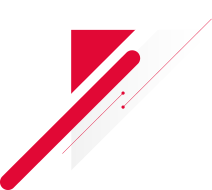 immigration consultant