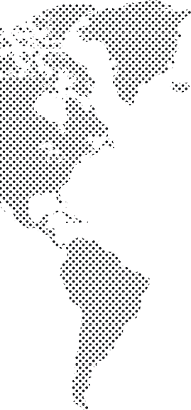 immigration consultant