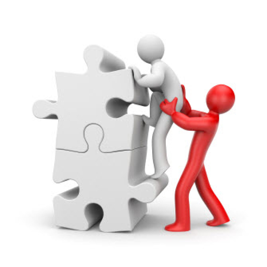 immigration consultant