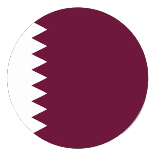 immigration consultant