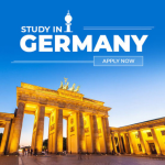 immigration consultant